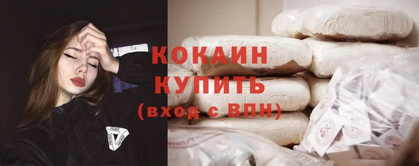 шишки Козловка